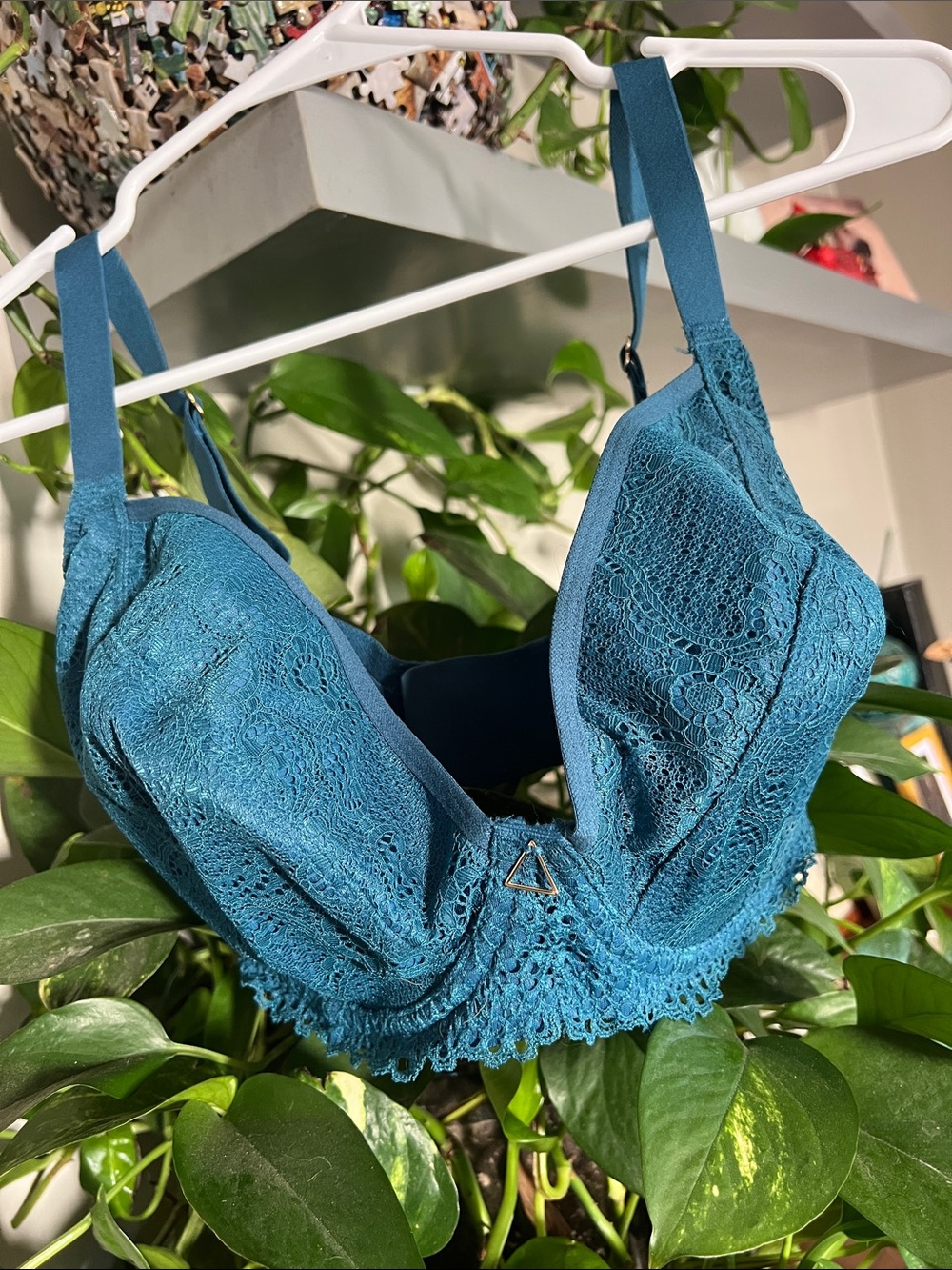 Teal Lace Underwire Bra with Scalloped Hem